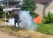 Respon Penyebaran Kasus DBD, Puskesmas Kalirejo Pesawaran Gelar Serangkaian Upaya Mitigasi