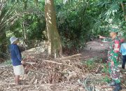 Antisipasi Pohon Tumbang, Babinsa Metro Kibang Ajak Warga Tebang Pohon Rawan