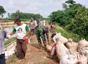 Babinsa Koramil 08/RU Bersama Warga Perbaiki Tanggul Bendungan Jebol Terdampak Banjir