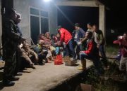 Harimau Sumatera Kembali Meneror Masyarakat Lampung Barat