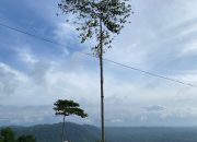Wisata Gerbang Langit, Surga Tersembunyi dengan Panorama Alam Memukau