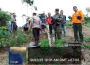 Warga Batu Brak Diminta Waspada, Jejak Harimau Ditemukan di Pekon Kotabesi