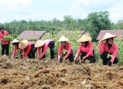 Kapolres Tulang Bawang Barat Ikuti Kegiatan Launching Penguatan Program Pekarangan Pangan Lestari