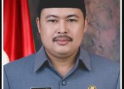 Ketua DPD NasDem Pesawaran: KPU dan Aries Sandi Rugikan Negara