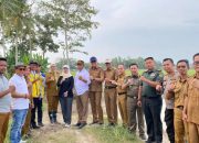 Lesty Putri Utami Kunjungi Lokasi Banjir di Kecamatan Palas