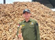 Pansus DPRD Lampung Nilai Pemkab Lampung Tengah Tidak Serius Tetapkan Harga Singkong