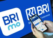 BRI Region 5 Bandar Lampung Perkuat Layanan Digital, Transaksi Nasabah Kini Makin Mudah
