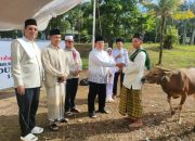 Iduladha Penuh Makna, Wabup Azwar Hadi Serahkan Sapi Kurban dan Pererat Kebersamaan Warga Sukadana