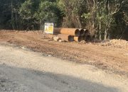 WALHI Soroti Proyek PLTP Sekincau, Minta Pemerintah dan Perusahaan Buka Dokumen Perizinan