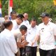 Bupati Tubaba Tinjau Pilot Project K3W, Dorong Pertanian Terintegrasi di Lahan Terbatas