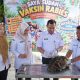 Pemkab Tubaba Gelar Vaksinasi Rabies Massal, Siapkan 350 Dosis Gratis